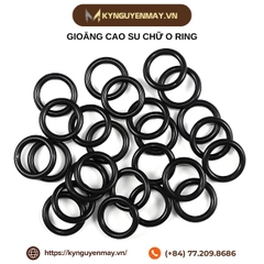 Gioăng cao su chữ O Ring