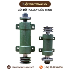 Gối đỡ Pulley liền trục 205, 206, 207, 208, 300, 350, 6209, 6210, 6211