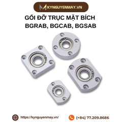 Gối đỡ trục mặt bích BGRAB, BGCAB, BGSAB