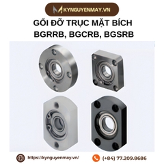 Gối đỡ trục mặt bích BGRRB, BGCRB, BGSRB