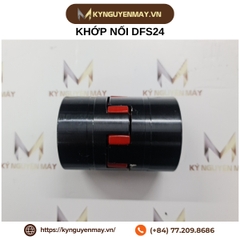 Khớp nối DFS19, DFS24, DFS28, DFS38, DFS42, DFS48, DFS55, DFS65, DFS75, DFS90