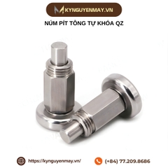 Núm pít tông tự khóa QZ