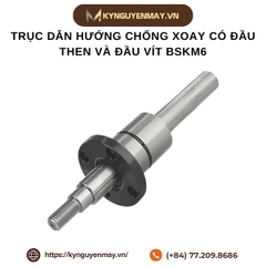 Trục dẫn hướng chống xoay có đầu then và đầu vít BSKM6