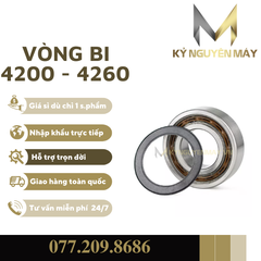 Vòng bi 4200 - 4260