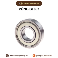 Vòng bi cầu 607