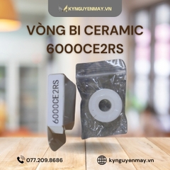 Vòng bi gốm 6000CE2RS