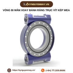 Vòng bi mâm xoay bánh răng trục vít kép Tubor kiểu WEA