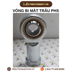 Vòng bi mắt trâu PHS | PHS10, PHS12, PHS16, PHS20, PHS25