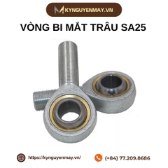 Vòng bi mắt trâu SA25 (SA25T/K)