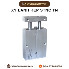 Xy lanh 2 ty STNC TN