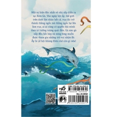 CHUYỆN XÓM GÀ - LỄ HỘI KHÙNG ĐIÊN