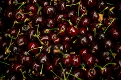 Cherry Premium Tasmania Úc