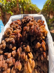 Nho khô nguyên cành  Australia