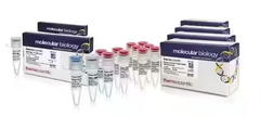 Phusion™ Hot Start II High-Fidelity DNA Polymerase Master Mix