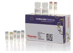 Thermo Scientific™  Direct PCR