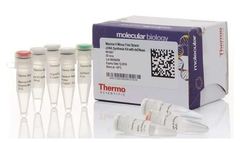 Maxima H Minus Reverse Transcriptase