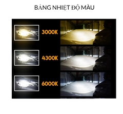 Bóng đèn ô tô Xenon Mitra chân D
