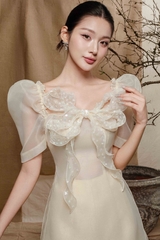 Velvet Ao Dai with Crystal Beadings