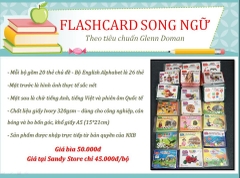 🌏 FLASHCARD SONG NGỮ - GLENN DOMAN 🌏