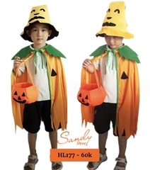 HL177 - Choàng Bí Vải Nhỏ