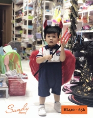 HL410 - Cánh Lông Đỏ Nhỏ (40*55cm)