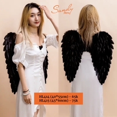 HL415 - Cánh Lông Đen Lớn (45*60cm)