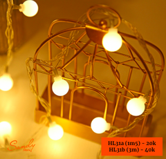 HL31b - Dây Đèn Tròn Trắng (3m - 20 đèn)