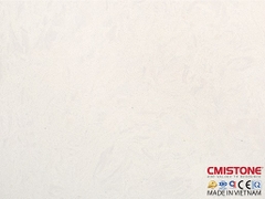 Amani Beige  C160508