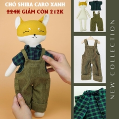 Chó shiba caro xanh