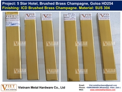 Brushed Brass Champagne, Goloa HD254