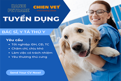 Tuyển dụng Bác sĩ thú y, y tá thú y