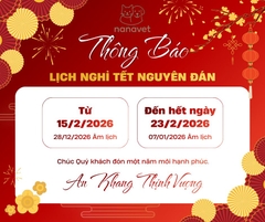 Thông báo lịch nghỉ Tết Nguyên đán Bính Ngọ 2026