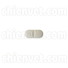 Apoquel 3.6mg - Thuốc trị ngứa dành cho chó