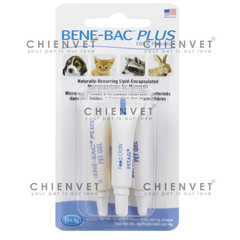 Men tiêu hoá - BENE-BAC PLUS vỉ 4 ống