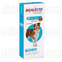 BRAVECTO 1000mg cho chó 20-40kg - thuốc phòng trị ve, bọ chét, ghẻ Demodex