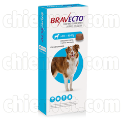 Bravecto - thuốc phòng trị ve, bọ chét, ghẻ Demodex