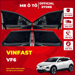 VINFAST VF6