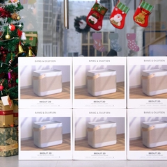 Loa Di Động Bang & Olufsen Beolit 20