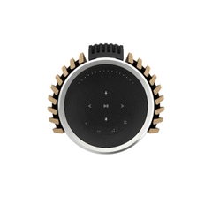 Loa Bang & Olufsen Beolab 28