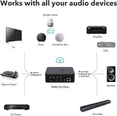 Music Streamer WiiM Pro Plus