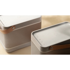 Loa Di Động Bang & Olufsen Beolit 20