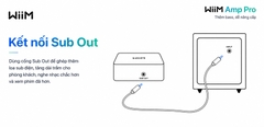 Music Streaming WiiM Amp Pro