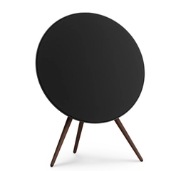 Bang & Olufsen Beosound A9 5th Generation