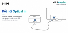 Music Streaming WiiM Amp Pro