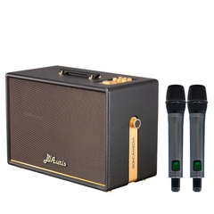 Loa Karaoke Di Động Soncamedia D'Auris 500