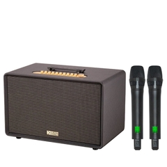 Loa karaoke di động xách tay Acnos Flac 39