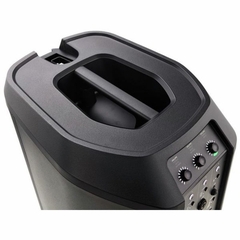 Loa Bose L1 Pro16
