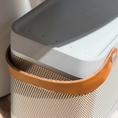 Loa Di Động Bang & Olufsen Beolit 20