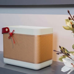 Loa Di Động Bang & Olufsen Beolit 20