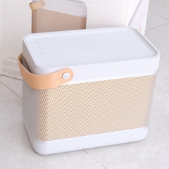 Loa Di Động Bang & Olufsen Beolit 20